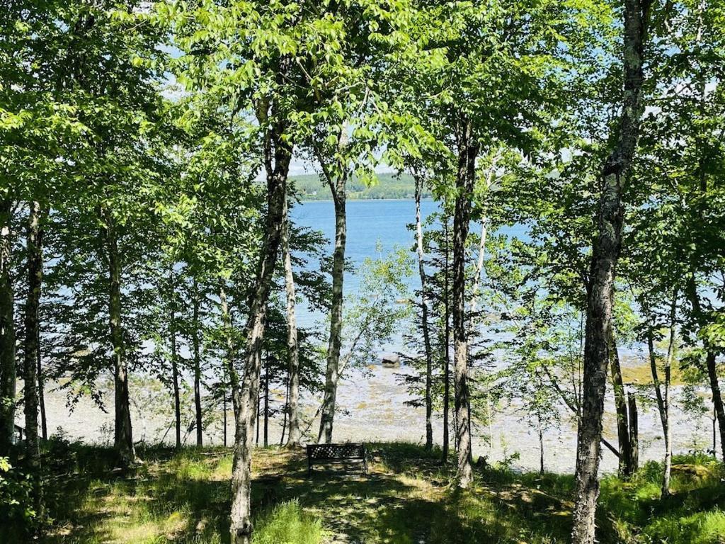 Chalet With A Private Beach In Acadia National Park Bar Harbor Exterior foto